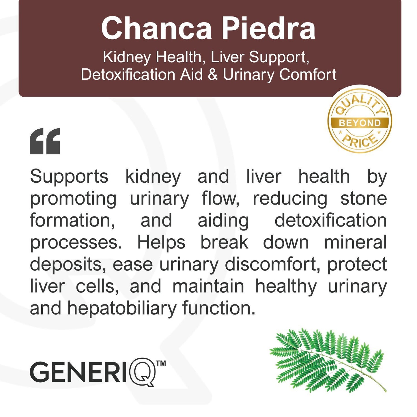 GENERIQ™ Chanca Piedra, 500mg
