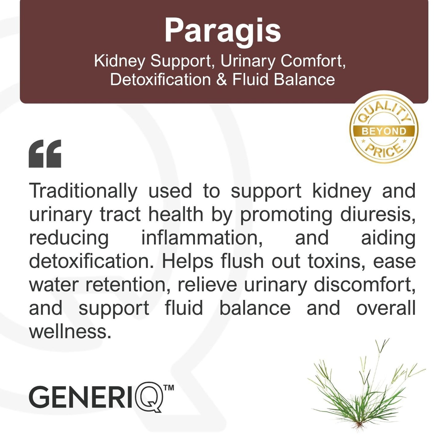 GENERIQ™ Paragis, 500mg