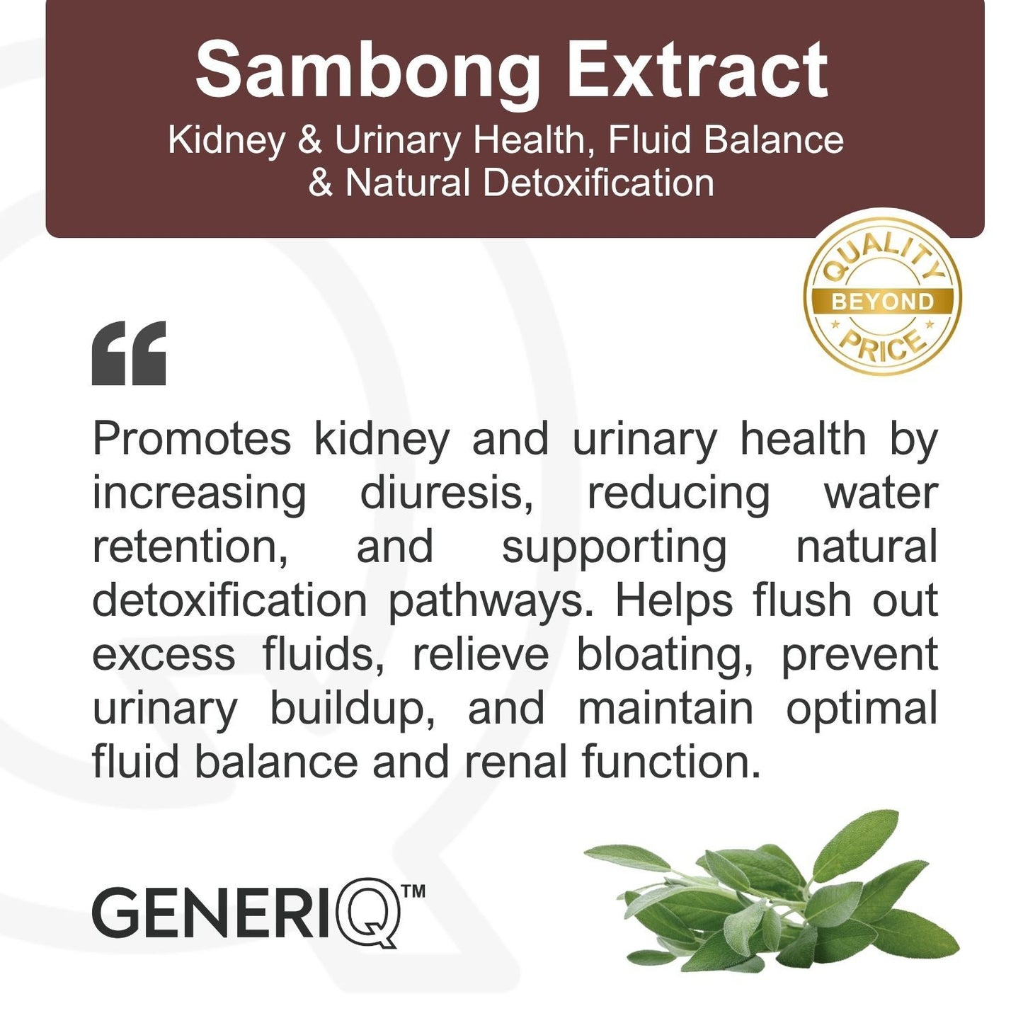 GENERIQ™ Sambong Extract, 500mg