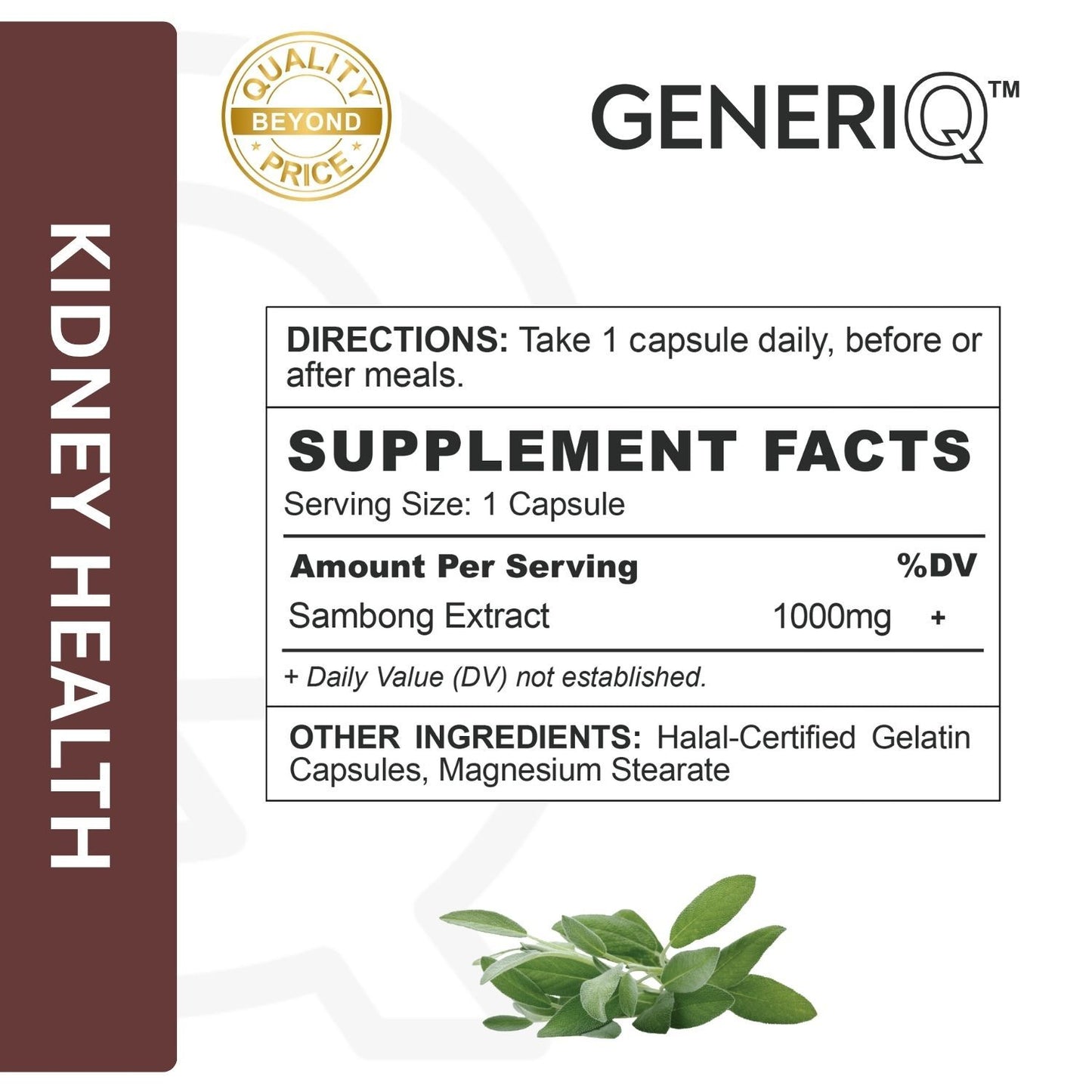 GENERIQ™ Sambong Extract, 500mg
