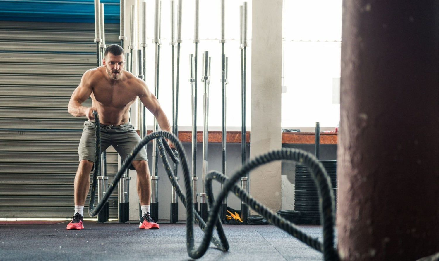 Energy, Performance, Endurance & Vitality