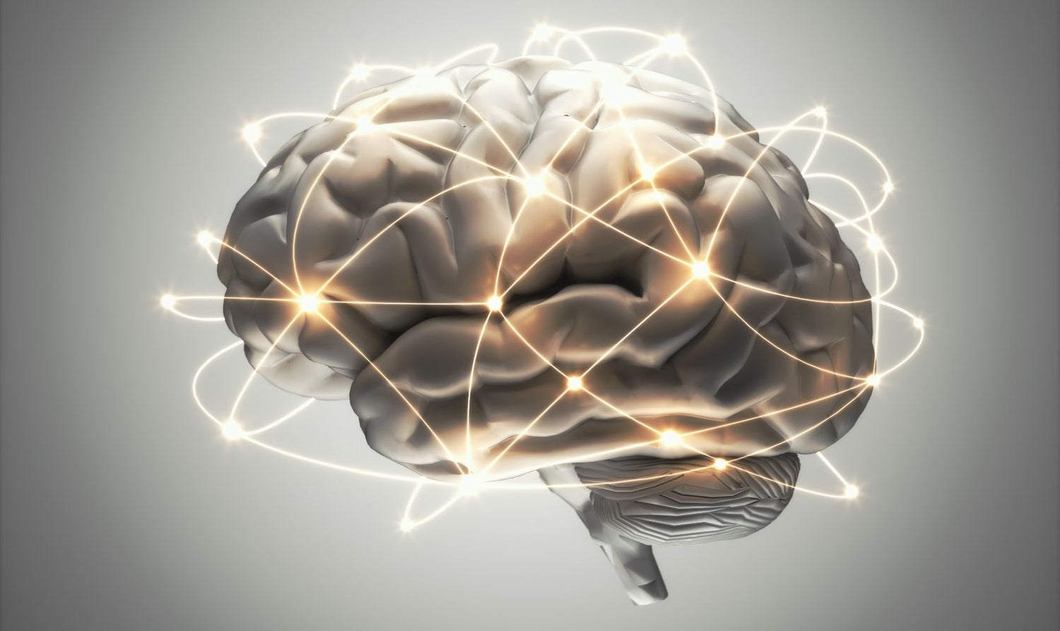 Memory, Focus & Cognitive Performance