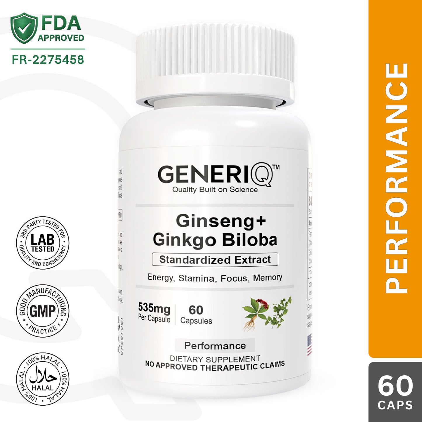 Ginseng + Ginkgo Biloba (Standardized Extract)