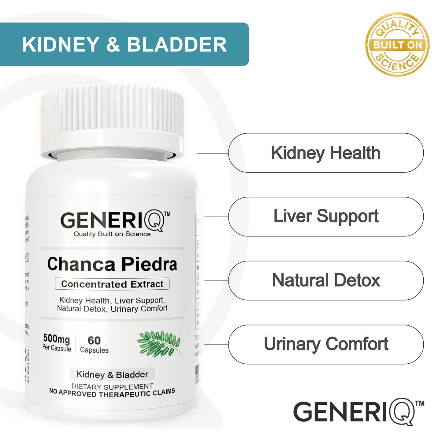 Chanca Piedra (Concentrated Extract)