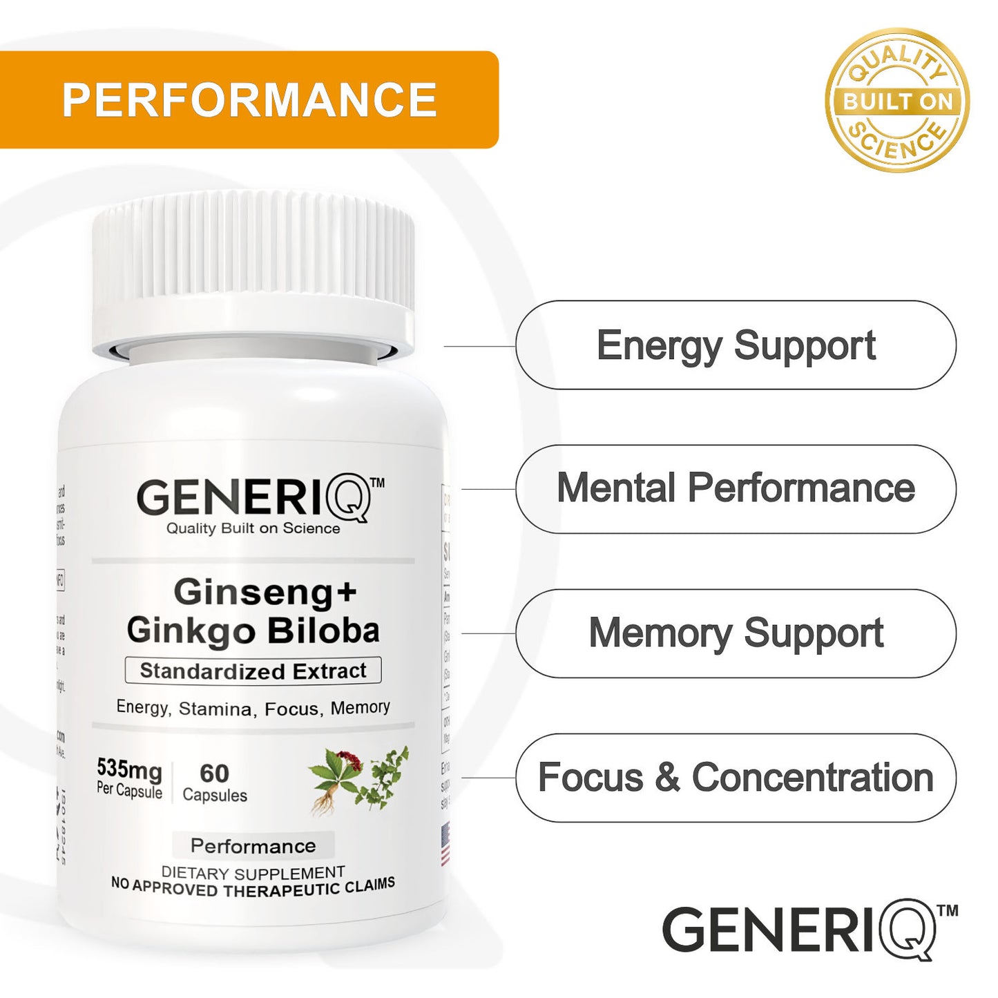 Ginseng + Ginkgo Biloba (Standardized Extract)