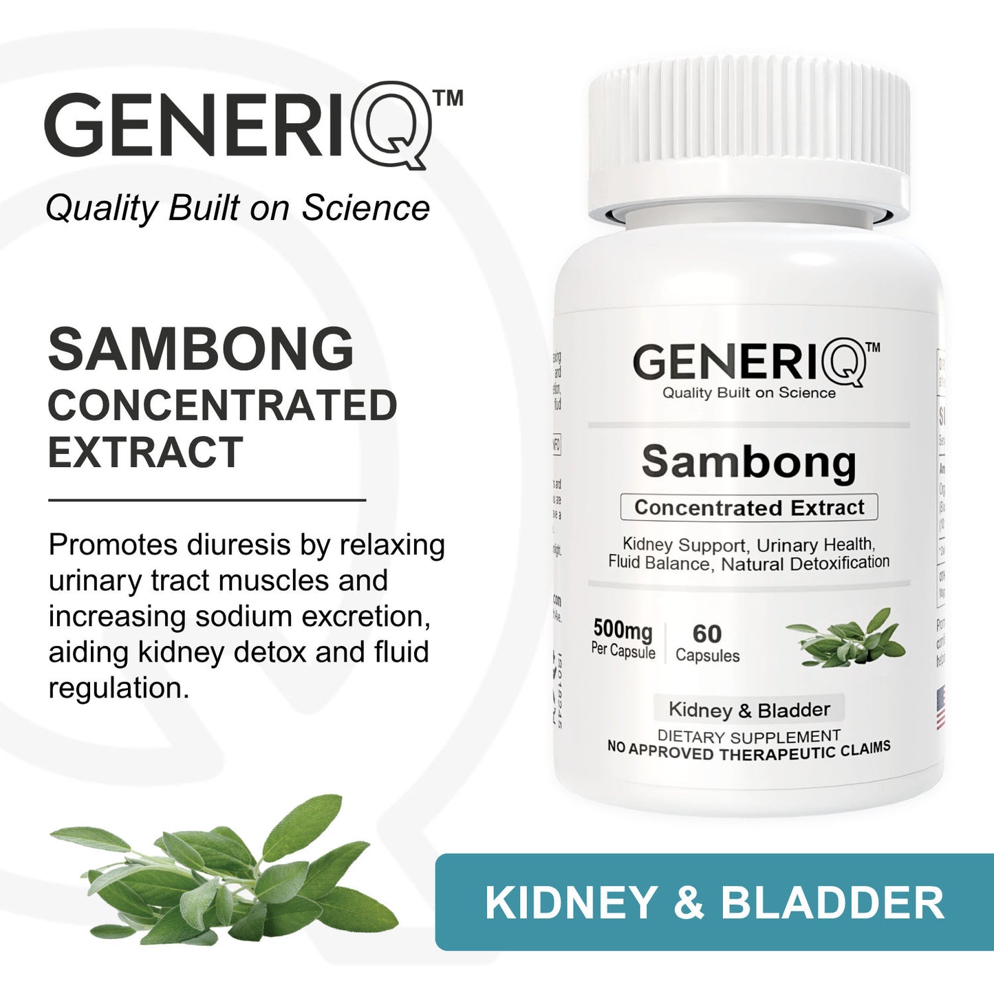 Sambong (Concentrated Extract)