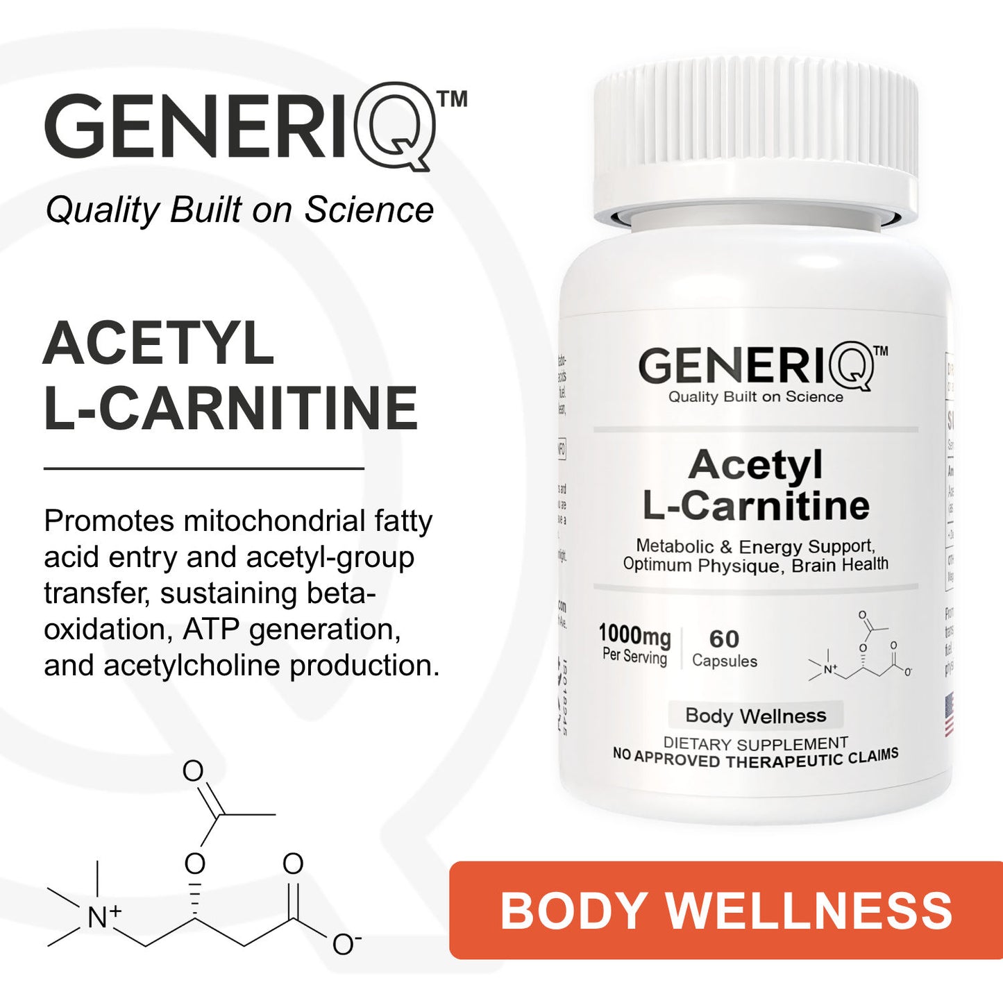 Acetyl L-Carnitine