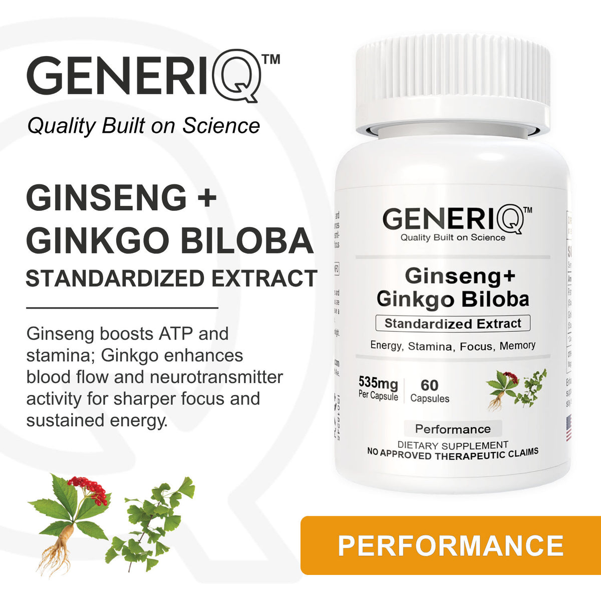 Ginseng + Ginkgo Biloba, Standardized Extract