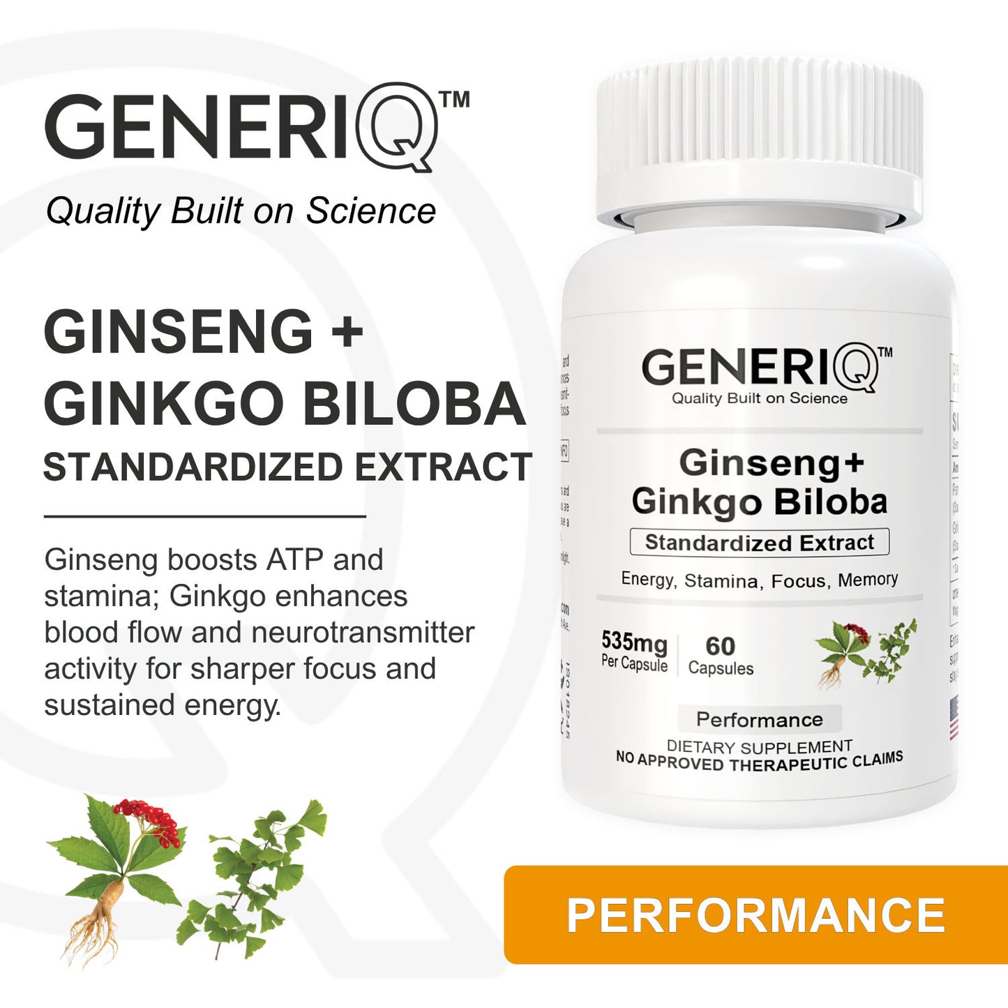 Ginseng + Ginkgo Biloba (Standardized Extract)
