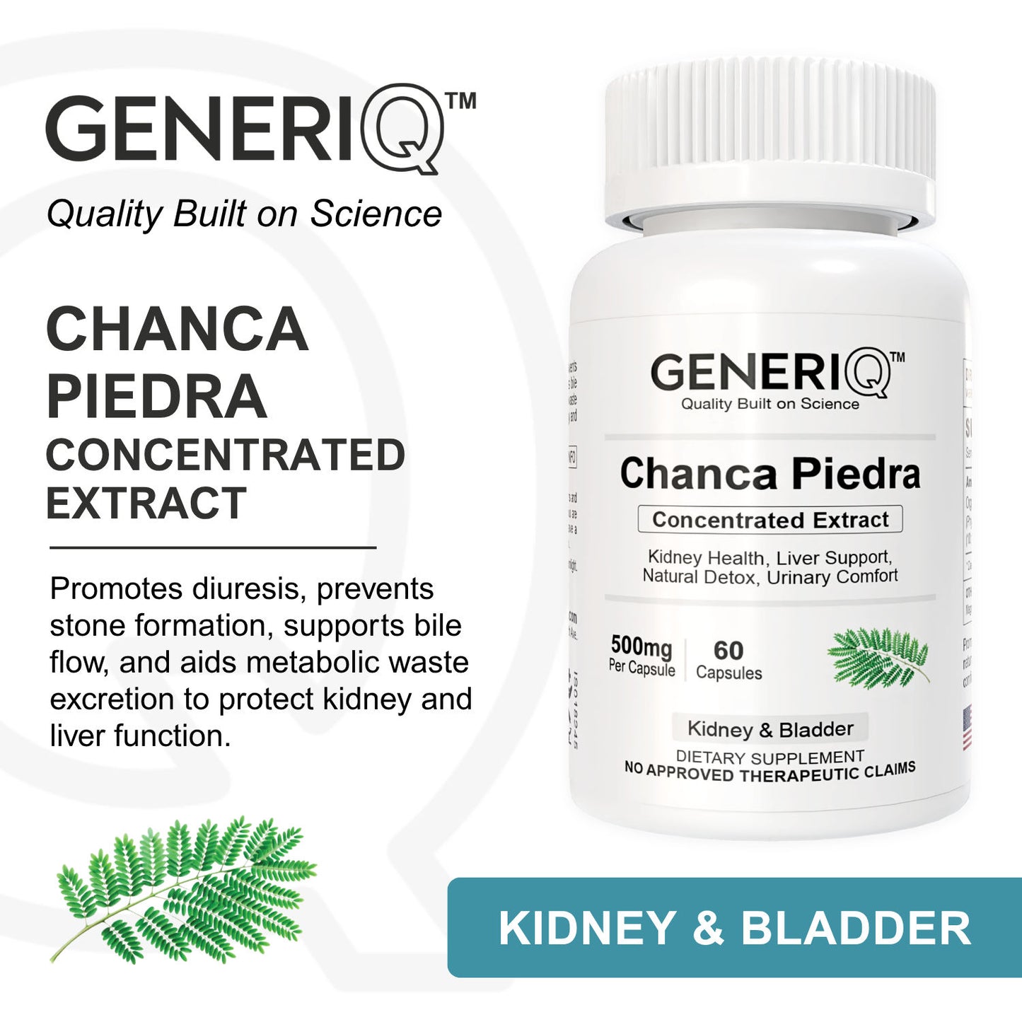 Chanca Piedra (Concentrated Extract)