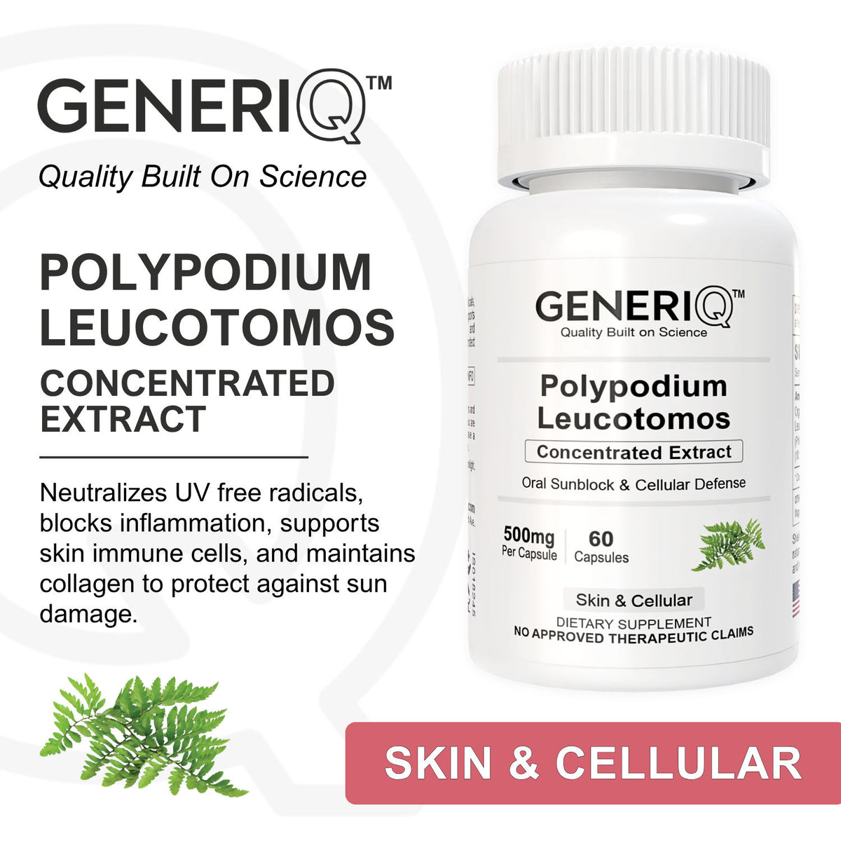 Polypodium Leucotomos, Concentrated Extract