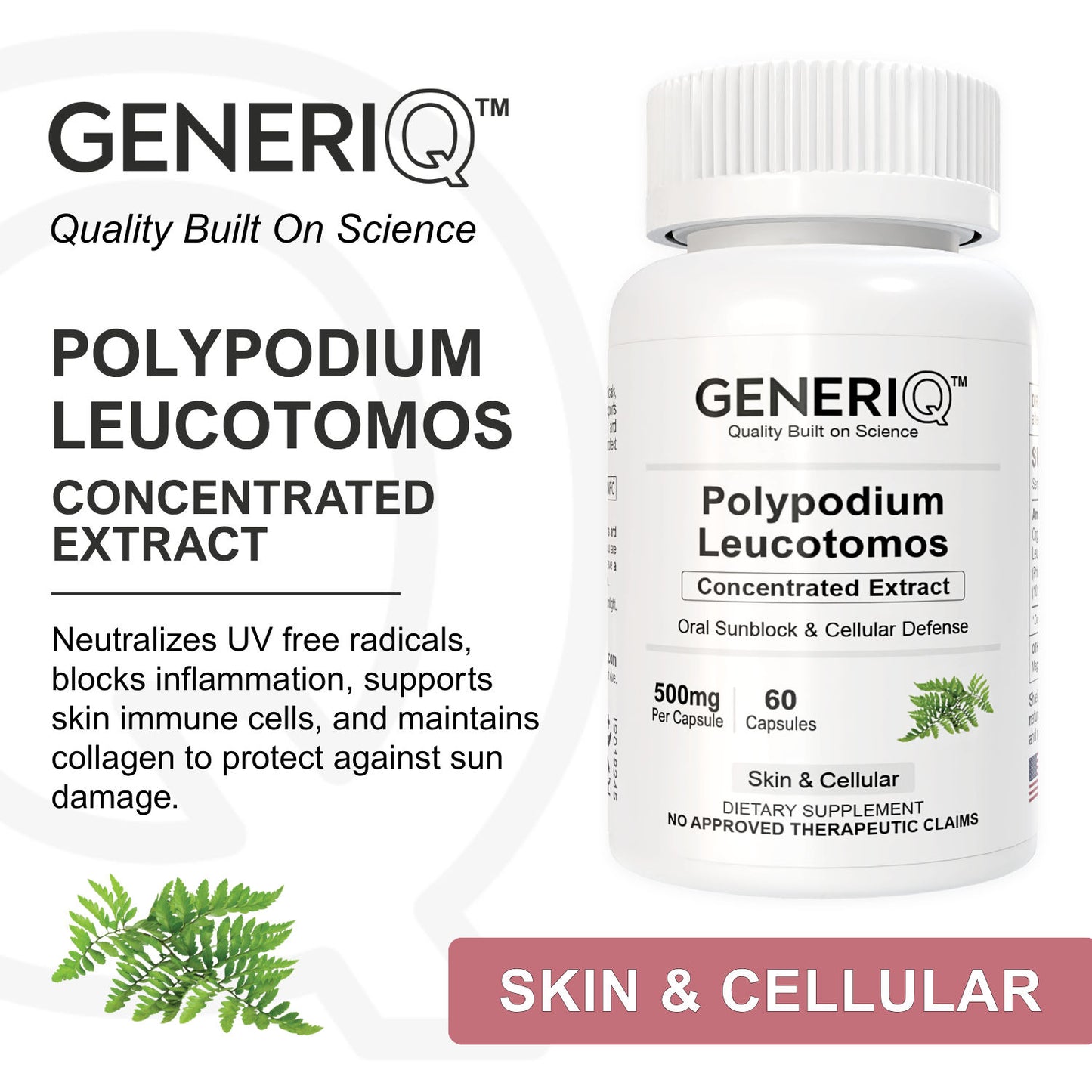 Polypodium Leucotomos (Concentrated Extract)