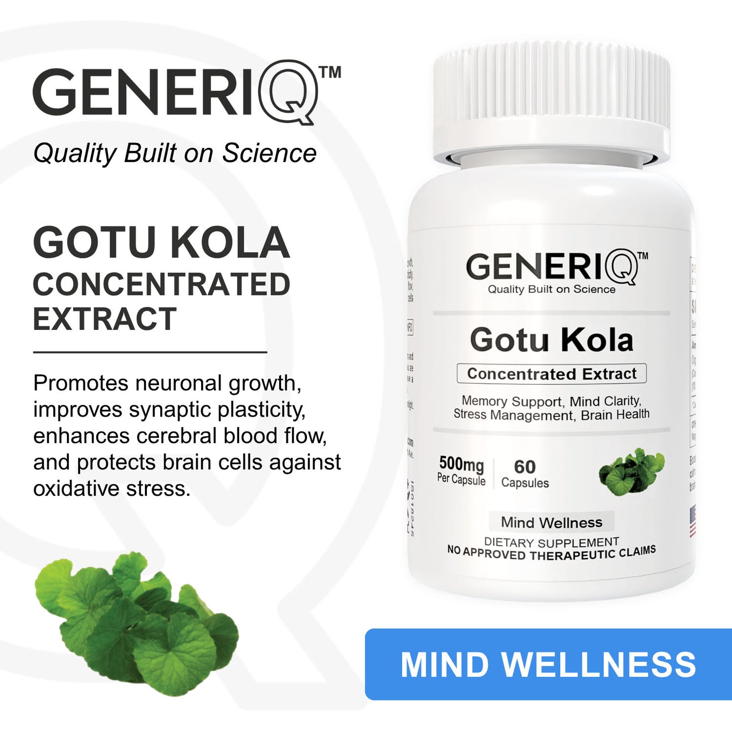 Gotu Kola (Concentrated Extract)
