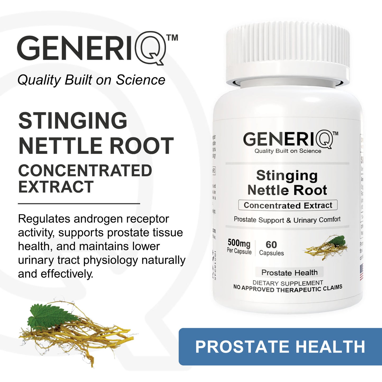 Stinging Nettle Root (Concentrated Extract)