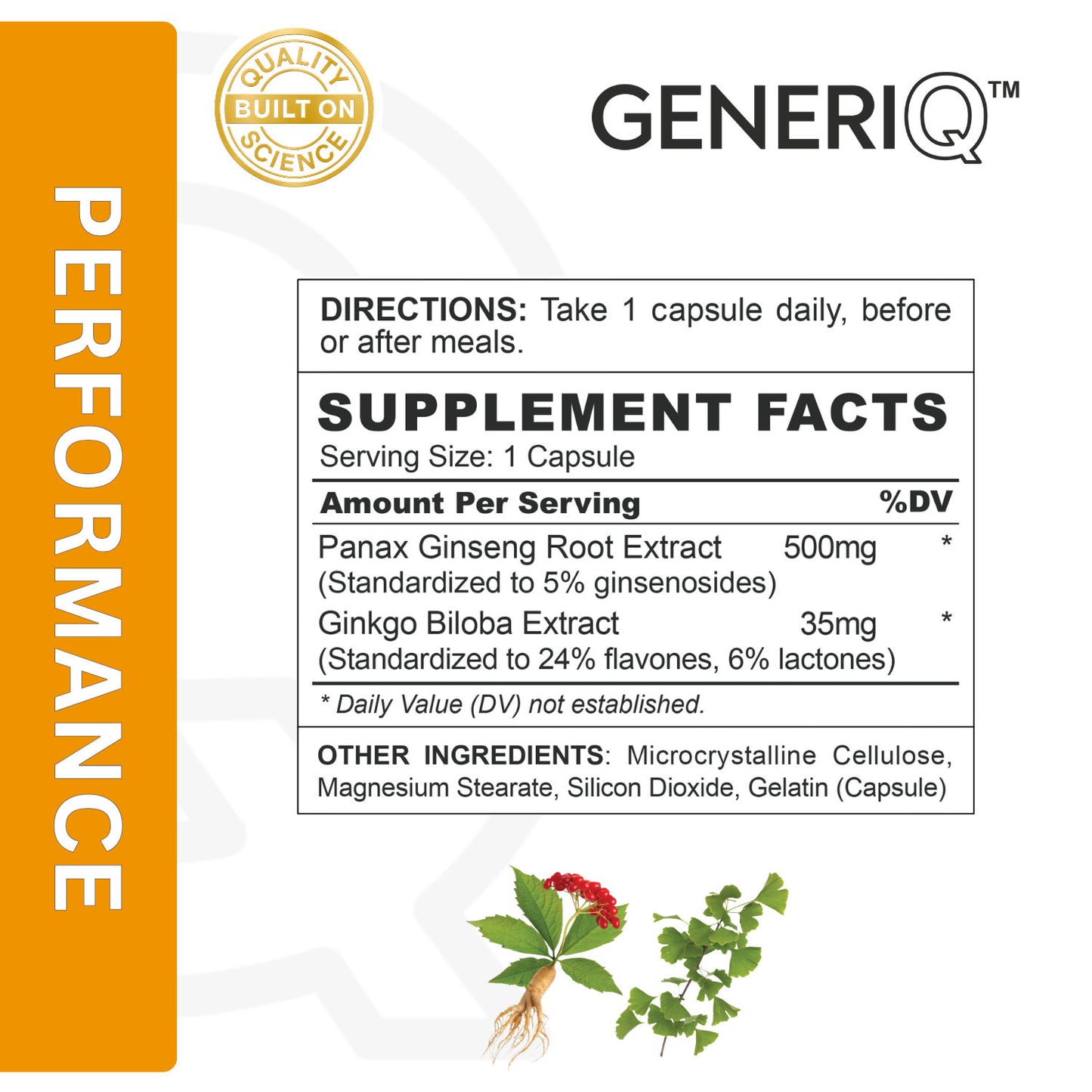 Ginseng + Ginkgo Biloba (Standardized Extract)
