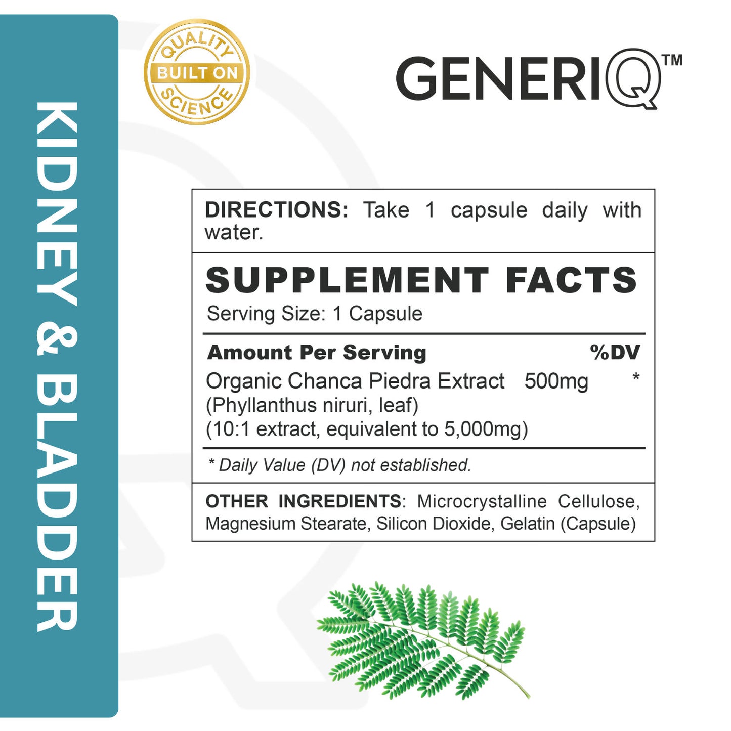 Chanca Piedra (Concentrated Extract)