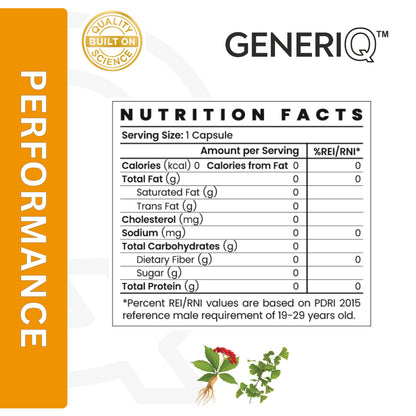 Ginseng + Ginkgo Biloba (Standardized Extract)