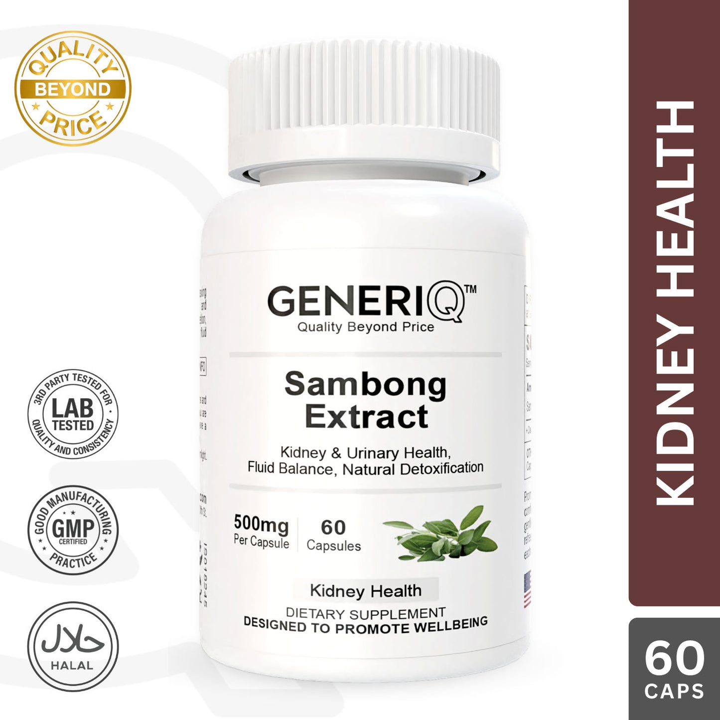 Sambong Extract, 500mg
