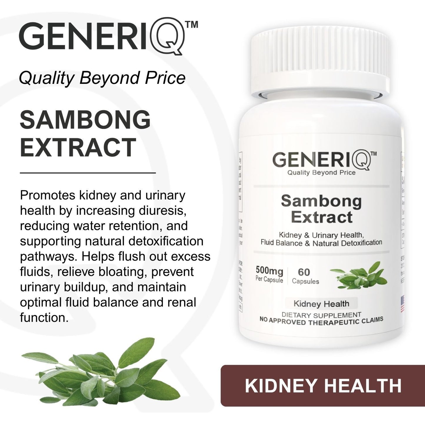 GENERIQ™ Sambong Extract, 500mg